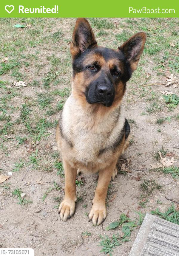 Reunited Male Dog last seen Pond Lake , Bloomingdale, NJ 07405