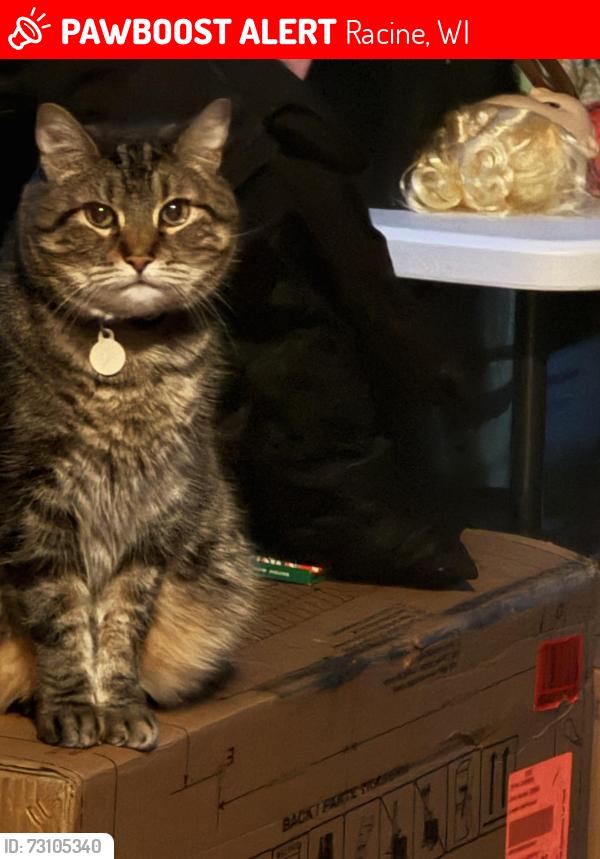 Lost Male Cat last seen Ascension hosp, Racine, WI 53405