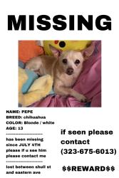 Lost Male Dog last seen Shull st, eastern ave, Bell Gardens, CA 90201