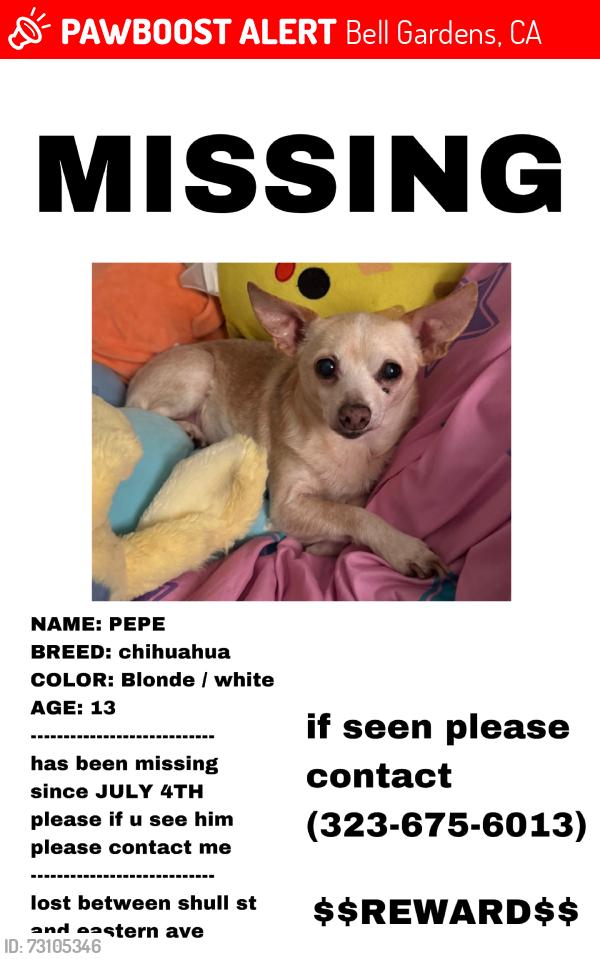 Lost Male Dog last seen Shull st, eastern ave, Bell Gardens, CA 90201