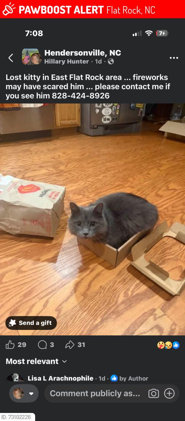 Lost Male Cat last seen Spartanburg hwy country Bear lane, Flat Rock, NC 28731