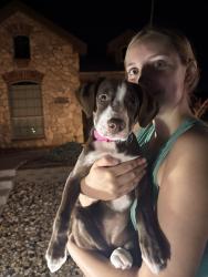 Found/Stray Female Dog last seen In between Overhill and clbh Lane in Bentwood, San Angelo, TX 76904