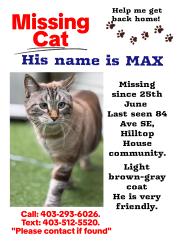 Lost Male Cat last seen Near av se, Calgary, AB T2H 1N1