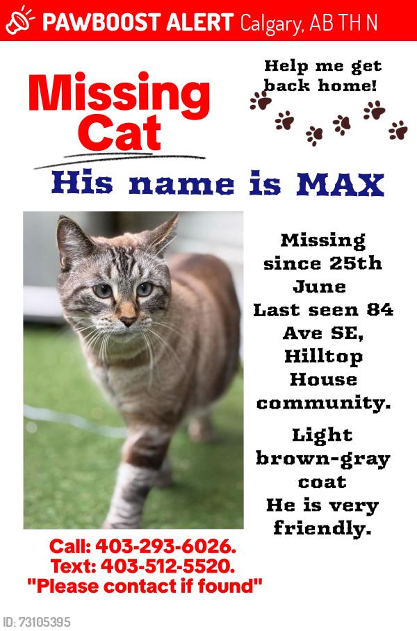 Lost Male Cat last seen Near av se, Calgary, AB T2H 1N1