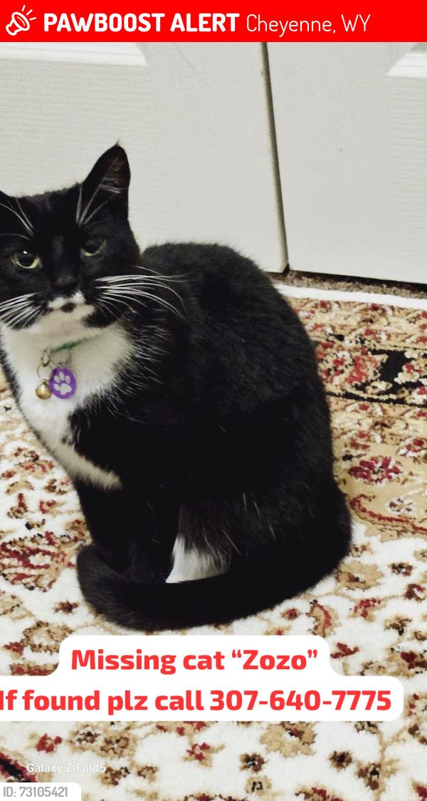 Lost Female Cat last seen U-Haul, Cheyenne, WY 82001