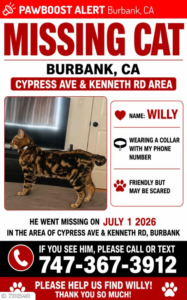 Lost Male Cat last seen Kenneth Rd, Burbank, CA 91502