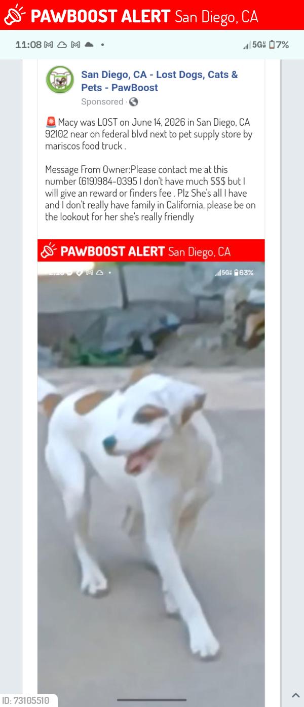 Lost Female Dog last seen Near rainbow liquor store across from the 711, San Diego, CA 92105