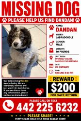 Reunited Male Dog last seen Evermay court, Rancho Cucamonga, CA 91739