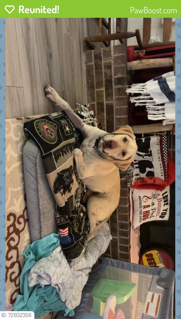 Reunited Male Dog last seen N/A, Midland, TX 79703