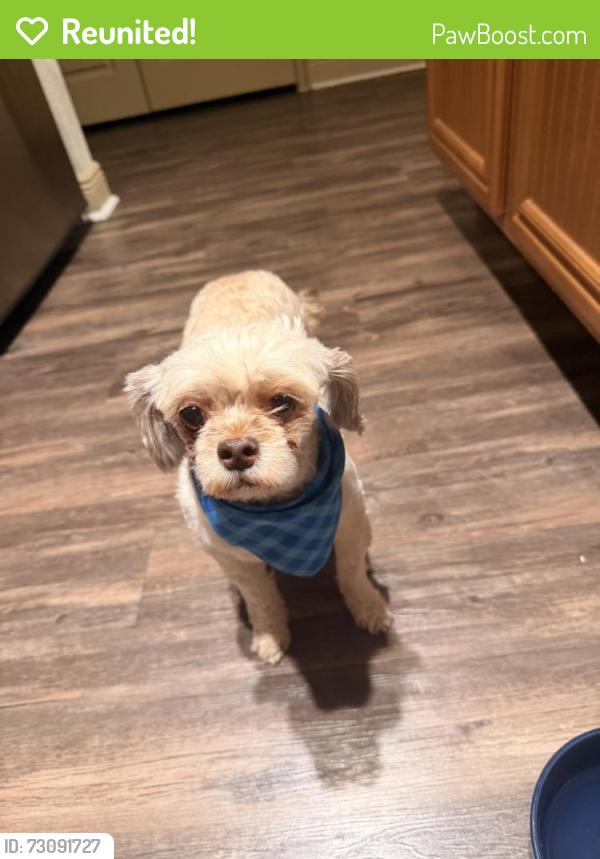 Reunited Female Dog last seen Lake Lily, Maitland, FL 32751