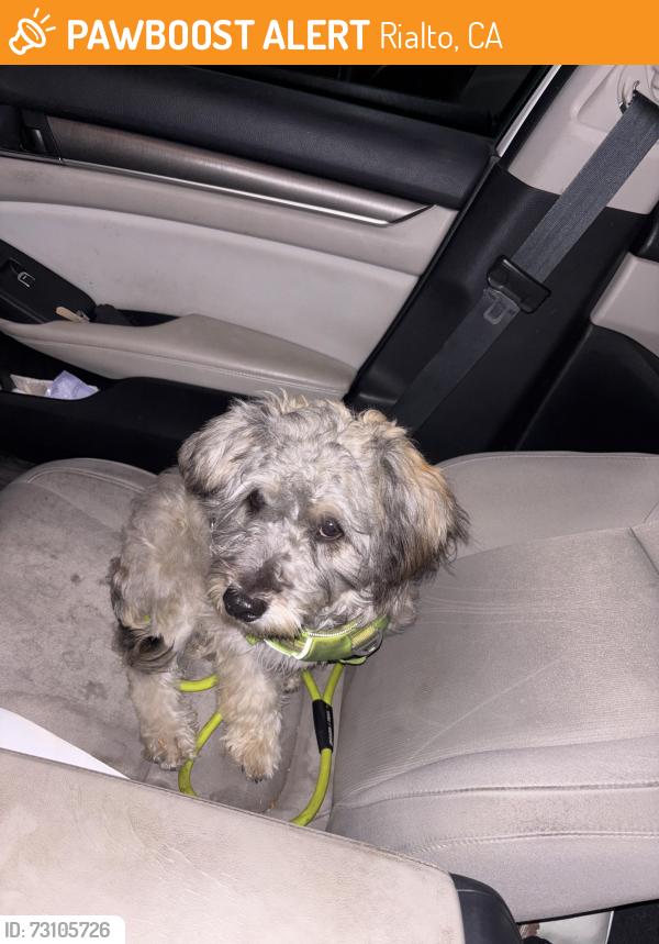 Found/Stray Unknown Dog last seen Near s linden ave Rialto ca 92376, Rialto, CA 92376