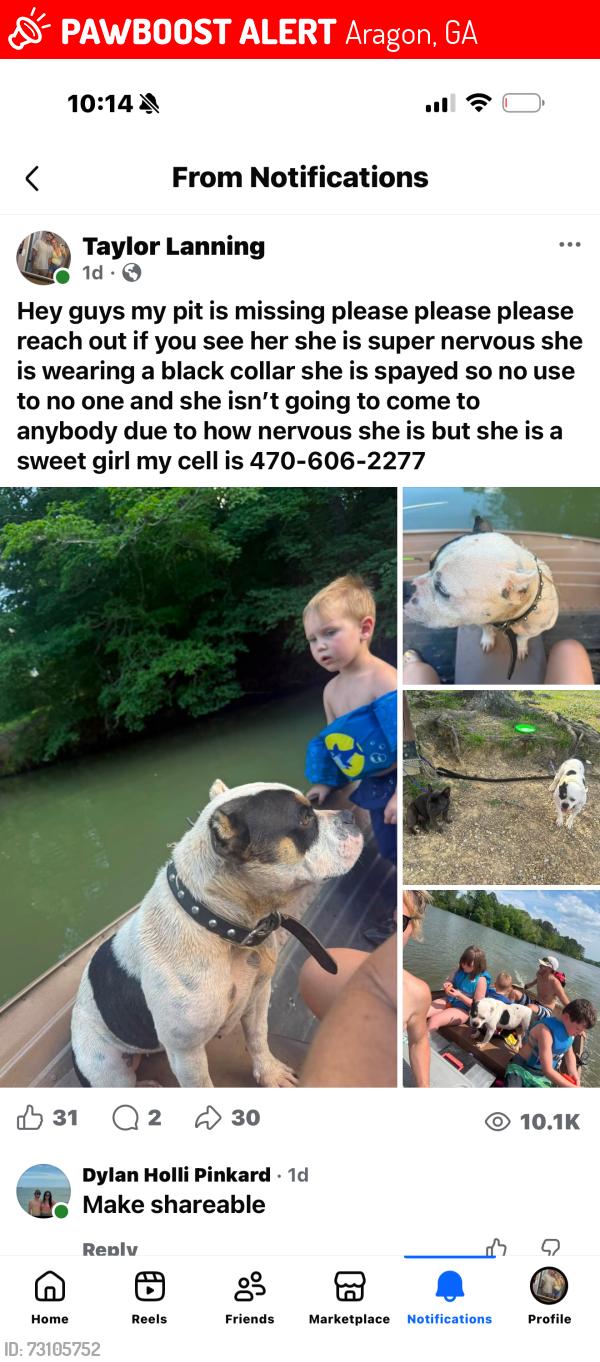 Lost Female Dog last seen Flint hill rd and 101, Aragon, GA 30104