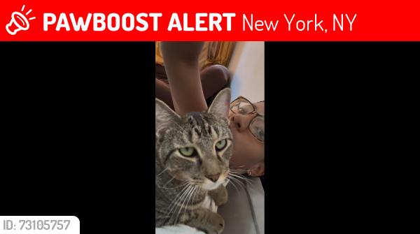 Lost Male Cat last seen West 204th st and Post Avenue, New York, NY 10034