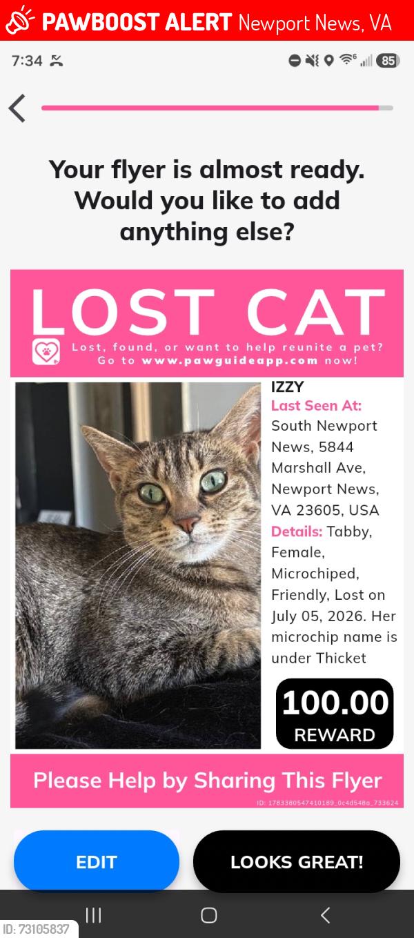 Lost Female Cat last seen By the firestation close to Herritage High school, Newport News, VA 23605
