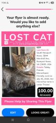 Lost Female Cat last seen By the firestation close to Herritage High school, Newport News, VA 23605