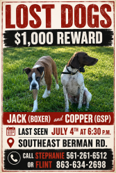 Reunited Male Dog last seen Near, Okeechobee, FL 34974