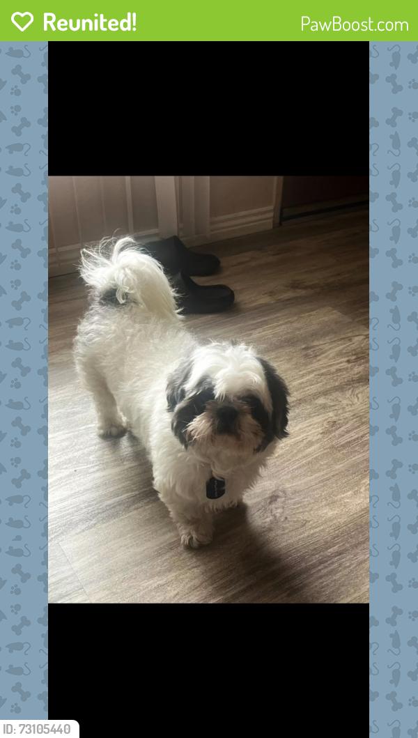 Reunited Male Dog last seen Mountain Rd and Claudine St, Albuquerque, NM 87123