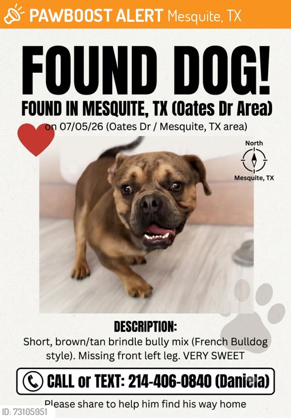 Found/Stray Male Dog last seen Ace auto & tire center, Mesquite, TX 75150