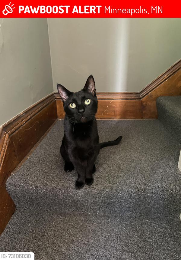 Lost Male Cat last seen 22nd and Emerson near Tao Natural Foods, Minneapolis, MN 55405