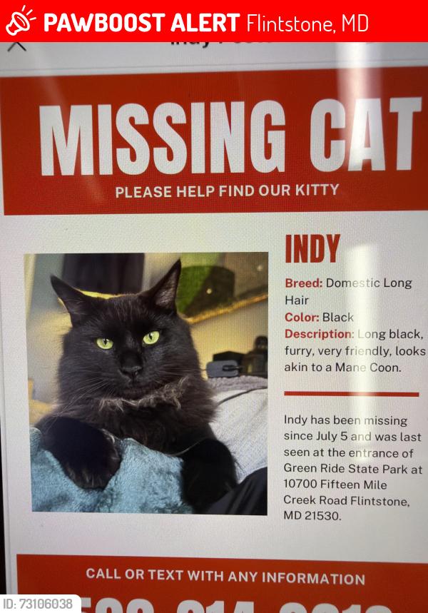Lost Male Cat last seen Entrance of Green Ride State Park, Flintstone, MD 21530