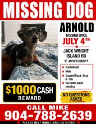 Lost Male Dog last seen Jack Wright Island & SR 13, St. Johns County, FL 32092