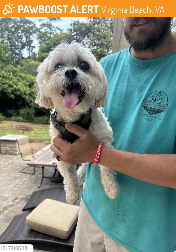 Found/Stray Male Dog last seen Trading point lane, Virginia Beach, VA 23452