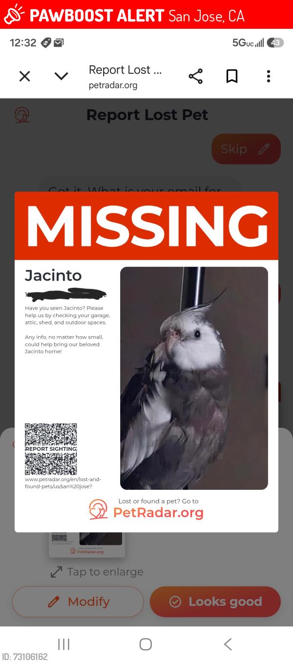 Lost Male Bird last seen Brokaw rd and Oakland rd, San Jose, CA 95131