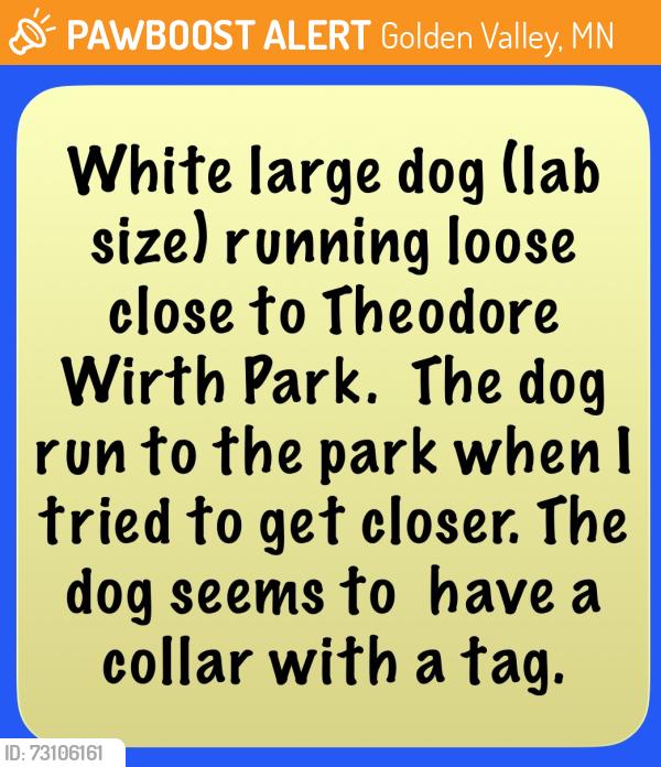 Found/Stray Unknown Dog last seen Theodore Wirth Pavilion, Golden Valley, MN 55422