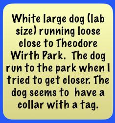 Found/Stray Unknown Dog last seen Theodore Wirth Pavilion, Golden Valley, MN 55422