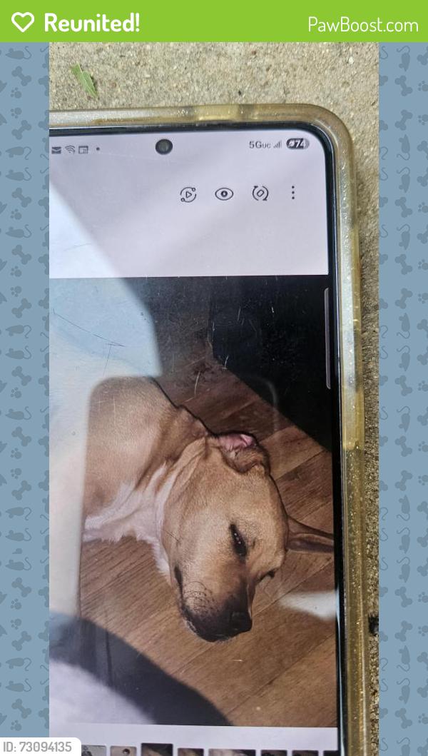 Reunited Male Dog last seen Flood and daws, Norman, OK 73069