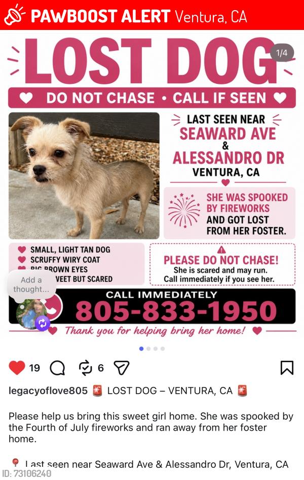 Lost Female Dog last seen Seaward, Ventura, CA 93001