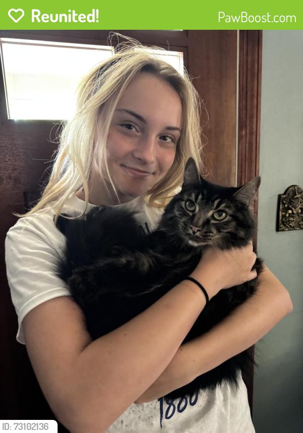 Reunited Male Cat last seen Jameson Street , Cincinnati, OH 45227