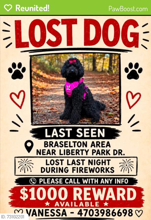 Reunited Female Dog last seen Liberty Park Drive, Braselton, GA 30517