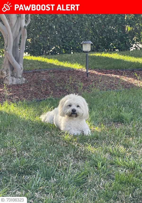 Lost Female Dog last seen Avenue c, Riverside County, CA 92570