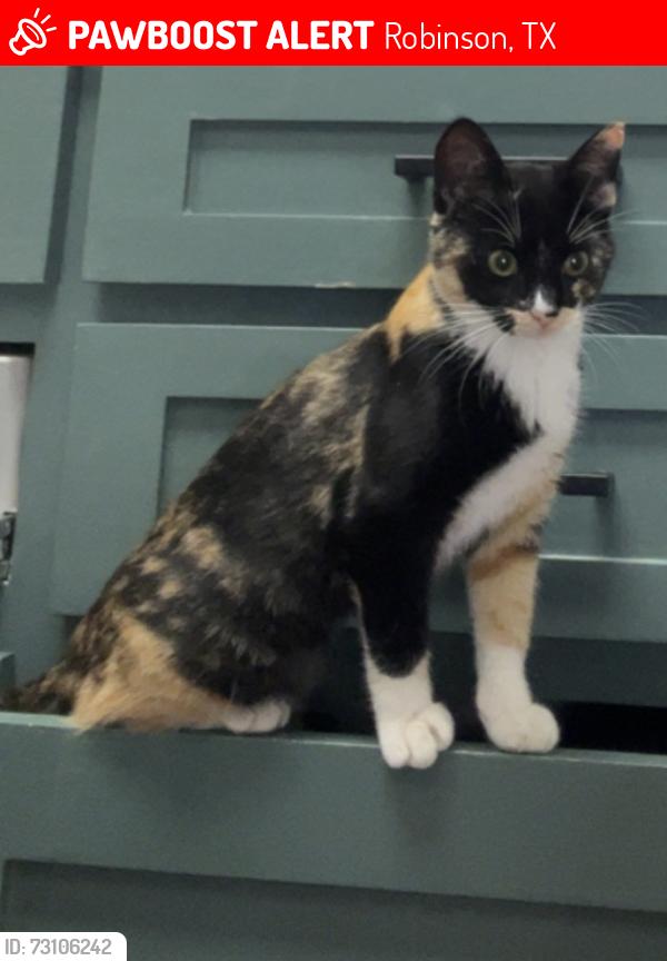 Lost Female Cat last seen Hillside Dr & Moonlight, Robinson, TX 76706