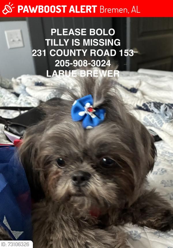 Lost Female Dog last seen County Riads 152, 154, leading to 222, Bremen, AL 35033