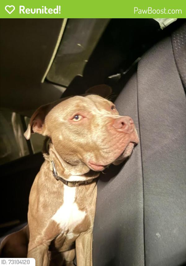 Reunited Male Dog last seen winn dix, Orlando, FL 32826