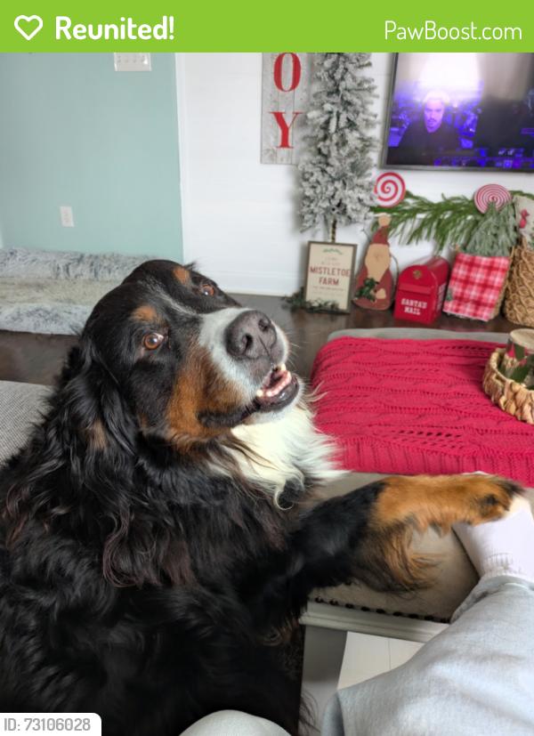 Reunited Male Dog last seen Orange st., Lancaster County, PA 17543