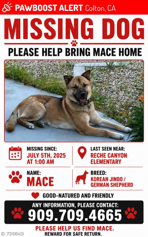 Lost Male Dog last seen Prada Lane, Colton, CA 92324