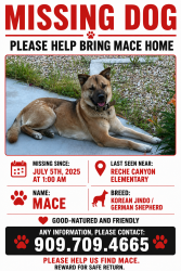 Lost Male Dog last seen Prada Lane, Colton, CA 92324