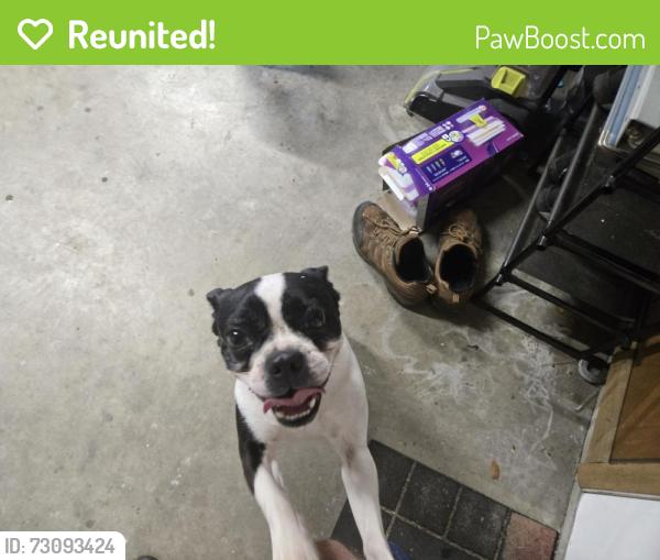Reunited Unknown Dog last seen Spyglass Circle and Laurel Oak Rd Valrico, Valrico, FL 33596