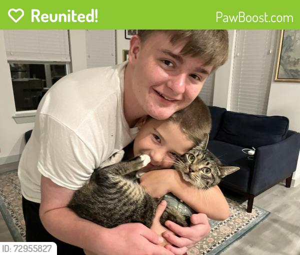 Reunited Male Cat last seen Woods behind Chic Fil A on South Main in Weatherford, Weatherford, TX 76087