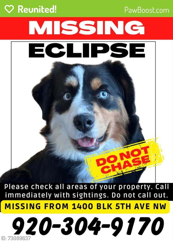Reunited Male Dog last seen Sunset Dr. Mandan, Mandan, ND 58554