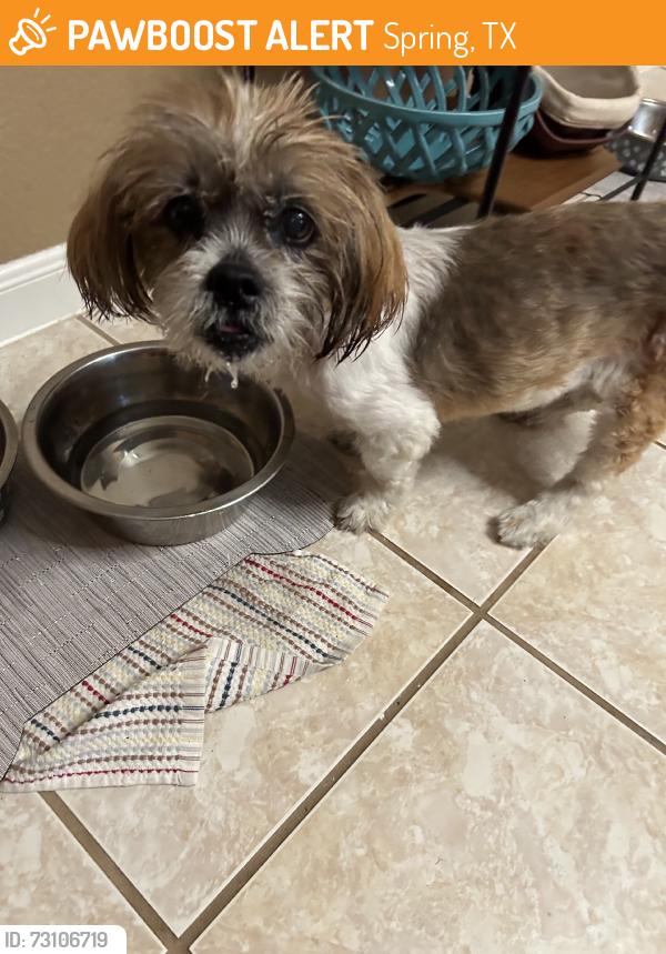 Found/Stray Unknown Dog last seen FM 2920, Spring, TX 77382