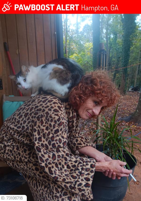 Lost Female Cat last seen Steel Dr, Hampton, GA 30228