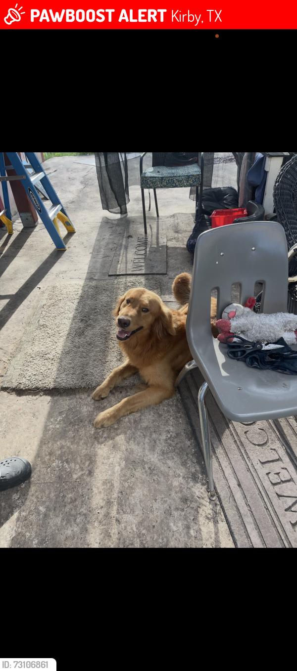 Lost Male Dog last seen sunrise st, Kirby, TX 78219