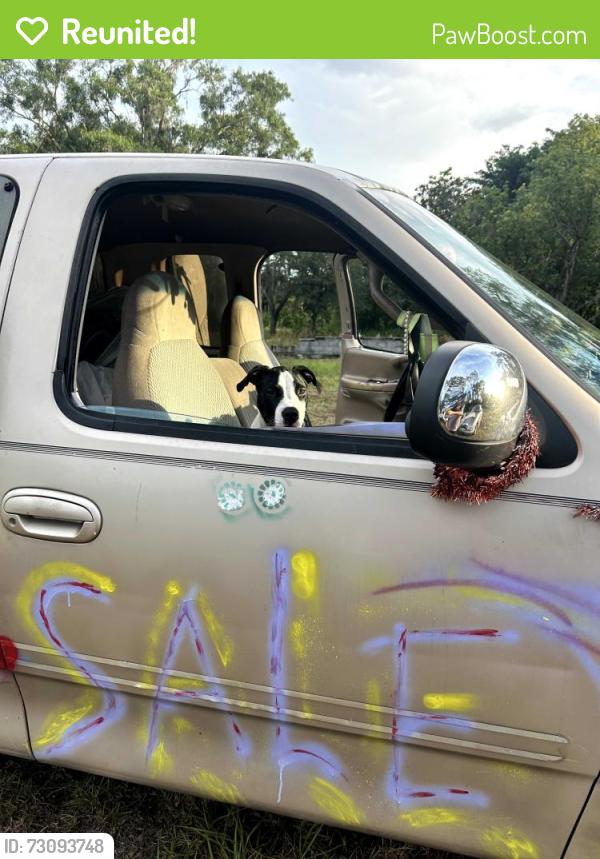 Reunited Male Dog last seen Alexison, Shady Hills, FL 34610
