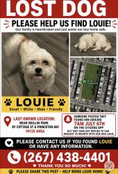 Reunited Male Dog last seen Near Mullin playground , Philadelphia, PA 19135
