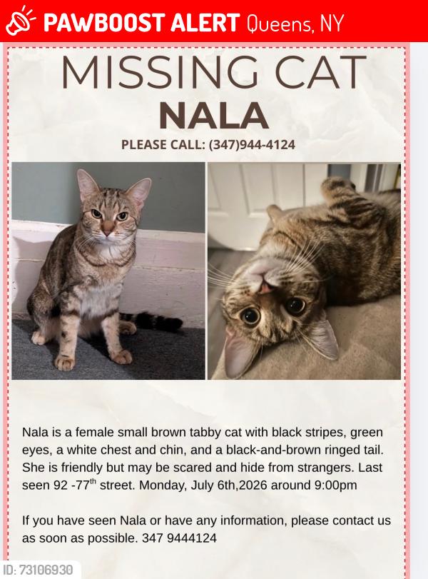 Lost Female Cat last seen around the hse area, Queens, NY 11421