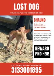 Lost Female Dog last seen Greenfiel, Garden City, MI 48135